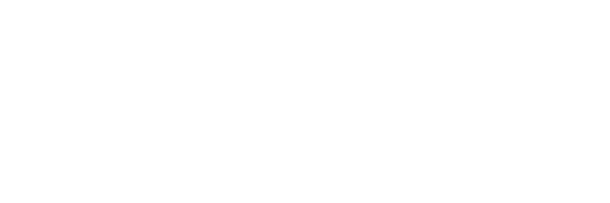logo blanco Carrefour